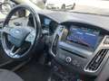 Ford Focus 1.5 TDCi 120 CV Start&Stop Powershift SW Business Noir - thumbnail 12