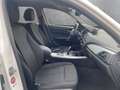 BMW 120 d Advantage LED/PDC/SHZ Blanc - thumbnail 19
