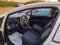 Fiat Grande Punto 5p 1.2 Actual 65cv Bianco - thumbnail 6