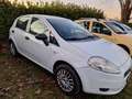 Fiat Grande Punto 5p 1.2 Actual 65cv Bianco - thumbnail 3