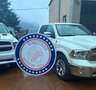 Dodge RAM Ram 1500 5.7 V8 Crew Cab Longhorn NIGHT pkg 4x4 Nero - thumbnail 15