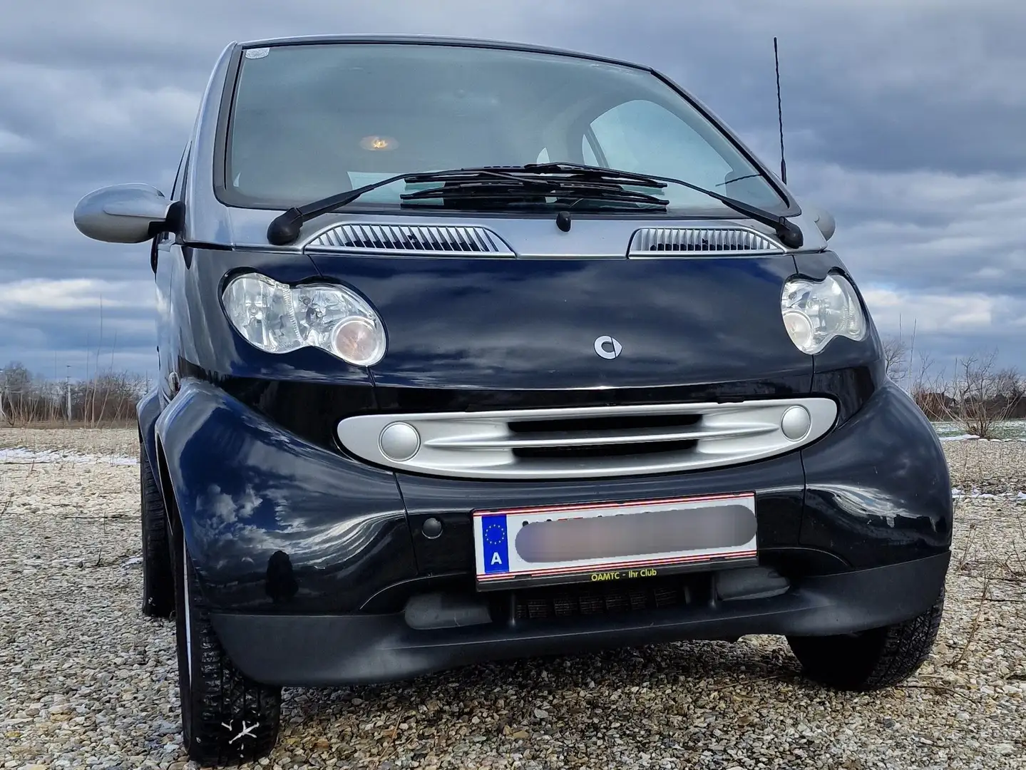 smart city-coupé/city-cabrio & pulse cdi Softouch Zwart - 2
