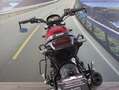 Benelli Leoncino 500 - 2022 - km 6669 Rot - thumbnail 16