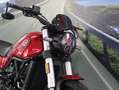 Benelli Leoncino 500 - 2022 - km 6669 Rot - thumbnail 12