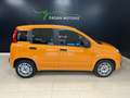 Fiat Panda Panda 1.0 firefly hybrid s Arancione - thumbnail 7