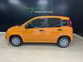 Fiat Panda Panda 1.0 firefly hybrid s Arancione - thumbnail 3