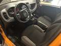 Fiat Panda Panda 1.0 firefly hybrid s Arancione - thumbnail 15