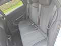 BYD Dolphin Comfort Gris - thumbnail 6