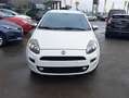 Fiat Punto 1.2i Easy Blanc - thumbnail 2