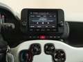 Fiat Panda Pandina Cross 1.0 firefly hybrid s * 2025 * Blanc - thumbnail 13