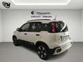 Fiat Panda Pandina Cross 1.0 firefly hybrid s * 2025 * Blanc - thumbnail 4