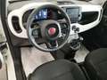 Fiat Panda Pandina Cross 1.0 firefly hybrid s * 2025 * Blanc - thumbnail 8