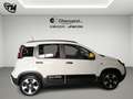 Fiat Panda Pandina Cross 1.0 firefly hybrid s * 2025 * Blanc - thumbnail 7