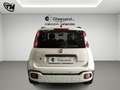 Fiat Panda Pandina Cross 1.0 firefly hybrid s * 2025 * Blanc - thumbnail 5