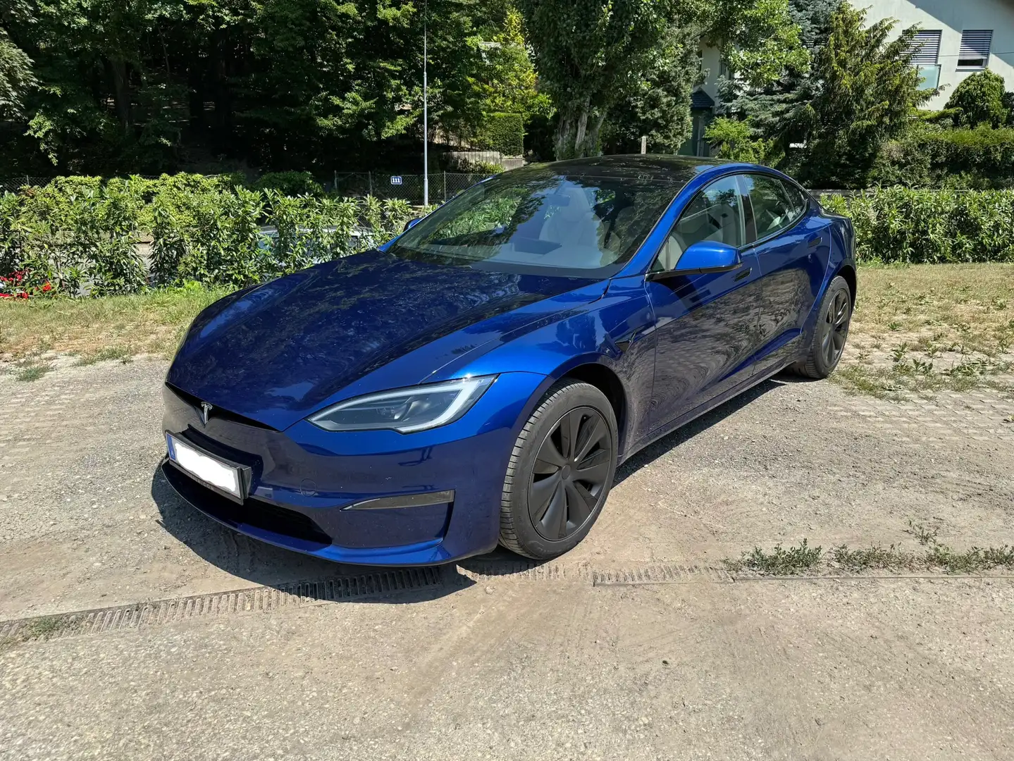 Tesla Model S Model S Long Range 100kWh Blau - 1
