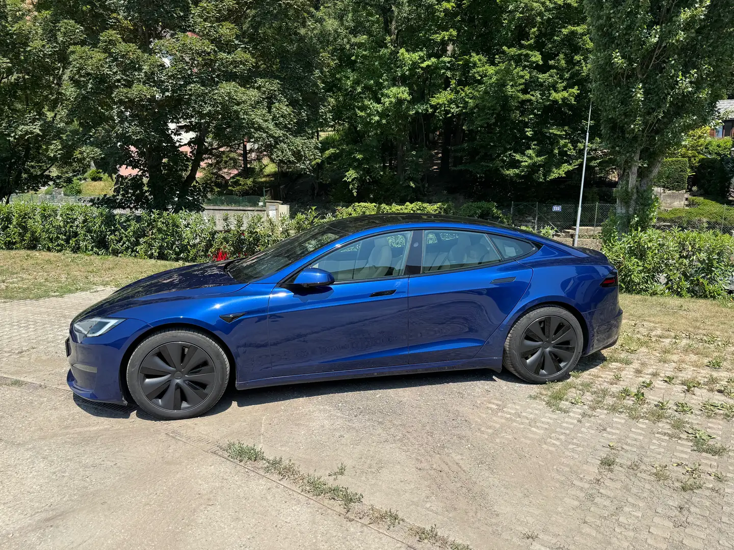 Tesla Model S Model S Long Range 100kWh Blau - 2