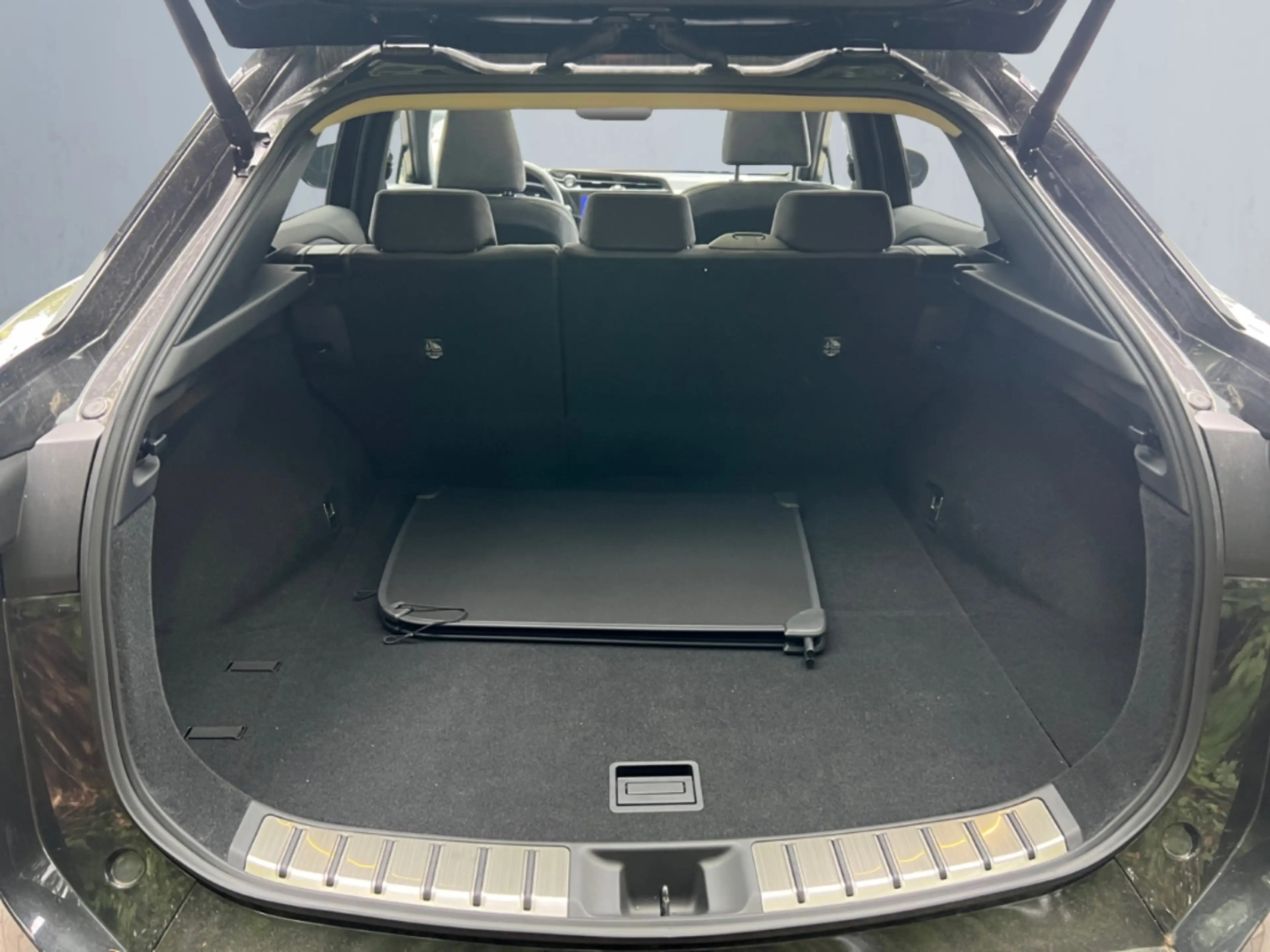 Lexus RZ 300e Luxury Line *LED*HUD*360*M Levinson*ACC* — photo 15