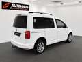 Volkswagen Caddy Kombi Comfortline 2,0 TDI 4MOTION | MwSt.AUSW| Weiß - thumbnail 6