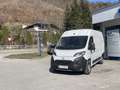 Toyota Proace Max 35 L2H2 2,2 ID 140 Prowork White - thumbnail 1