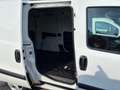 Fiat Doblo Doblò 1.6 MJT 105CV PL-TN Cargo Maxi Lamierato Blanc - thumbnail 13