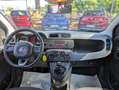 Fiat Panda GPL 1.2cc 69cv Bianco - thumbnail 6
