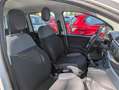 Fiat Panda GPL 1.2cc 69cv Bianco - thumbnail 11