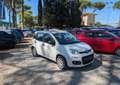 Fiat Panda GPL 1.2cc 69cv Bianco - thumbnail 1