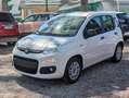 Fiat Panda GPL 1.2cc 69cv Bianco - thumbnail 3