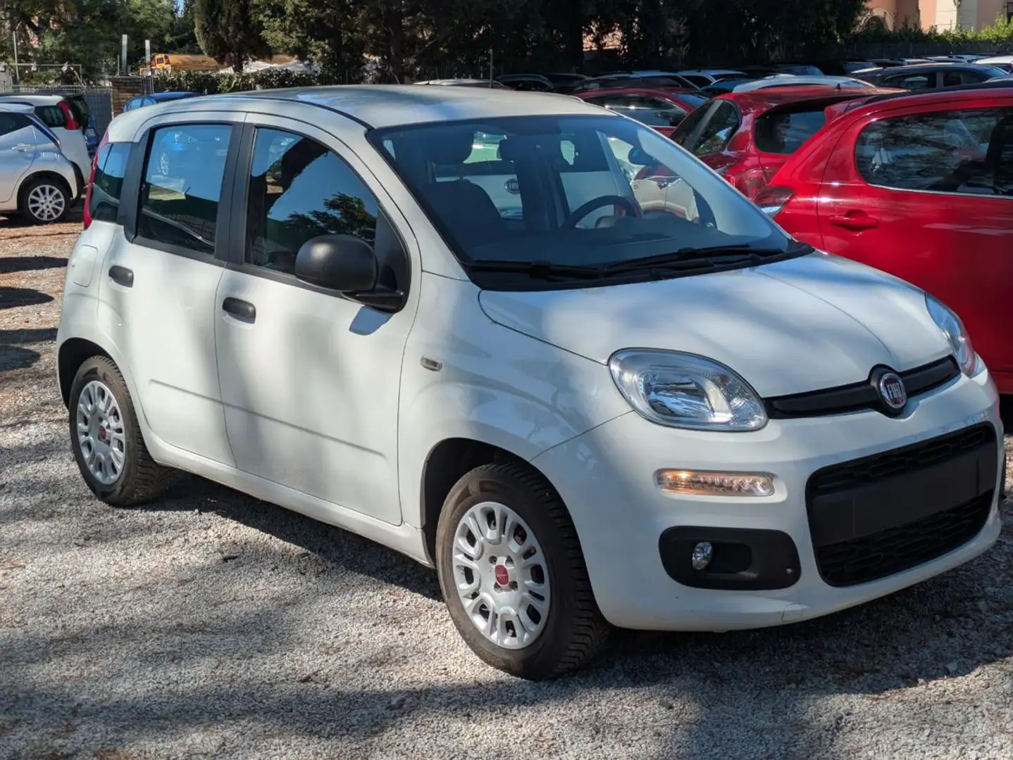 Fiat Panda GPL 1.2cc 69cv Bianco - 2