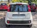 Fiat Panda GPL 1.2cc 69cv Bianco - thumbnail 14