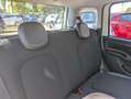 Fiat Panda GPL 1.2cc 69cv Bianco - thumbnail 12