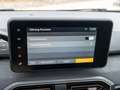 Dacia Sandero III Stepway Extreme TCE 100 LPG GPF Navi Grün - thumbnail 17