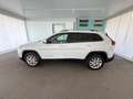 Jeep Cherokee 2.0 Mjt II 170cv Limited 4WD Auto Bianco - thumbnail 2