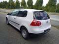 Volkswagen Golf V Lim. Trendline 4Motion/HU neu Bianco - thumbnail 5