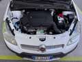 Fiat Sedici 1.6 Emotion 4x4 GARANZIA 24 MESI ECCELLENTI CONDIZ Bianco - thumbnail 12
