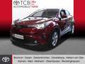 Toyota C-HR 1.8 Hybrid Business Edition NAVI SHZ PDC BT Rot - thumbnail 1