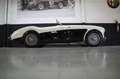 Austin-Healey 100 Le Mans Mille Miglia Eligible (1955) Blanc - thumbnail 32