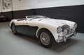 Austin-Healey 100 Le Mans Mille Miglia Eligible (1955) White - thumbnail 3