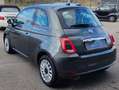 Fiat 500 500  1.2 Lounge easypower Gpl 69cv my20 Grigio - thumbnail 7