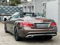 Mercedes-Benz E 350 d Cabrio AMG Paket *LED*LEDER*H.KARDON*KAM* Marrón - thumbnail 11