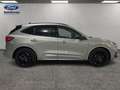 Ford Kuga 2.5 FHEV ST-LINE X AUTO 5P Plateado - thumbnail 6