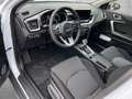Kia XCeed Xceed 1,0 TGDI 48V GPF Silber DCT Weiß - thumbnail 8