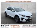 Kia XCeed Xceed 1,0 TGDI 48V GPF Silber DCT Weiß - thumbnail 1