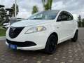 Lancia Ypsilon 1.2 69 CV ELEFANTINO 50000KM Bianco - thumbnail 4