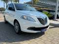 Lancia Ypsilon 1.2 69 CV GOLD Bianco - thumbnail 1