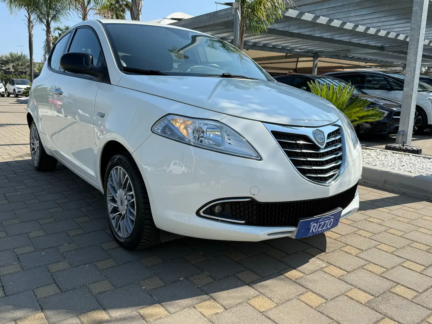 Lancia Ypsilon 1.2 69 CV GOLD Bianco - 1