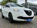 Lancia Ypsilon 1.2 69 CV ELEFANTINO 50000KM Bianco - thumbnail 1