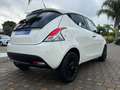 Lancia Ypsilon 1.2 69 CV ELEFANTINO 50000KM Bianco - thumbnail 2