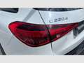 Mercedes-Benz C 220 Estate 220d 4Matic All Terrain 9G-Tronic Blanco - thumbnail 12