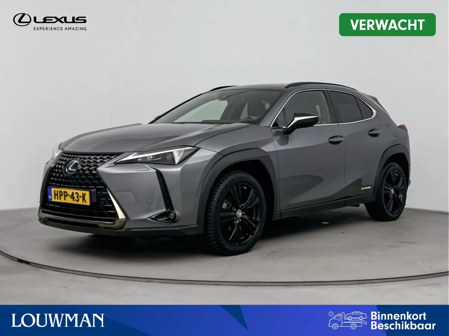 Lexus UX 250h Business Line Limited | Trekhaak | Stoelverwarming Gris - 1
